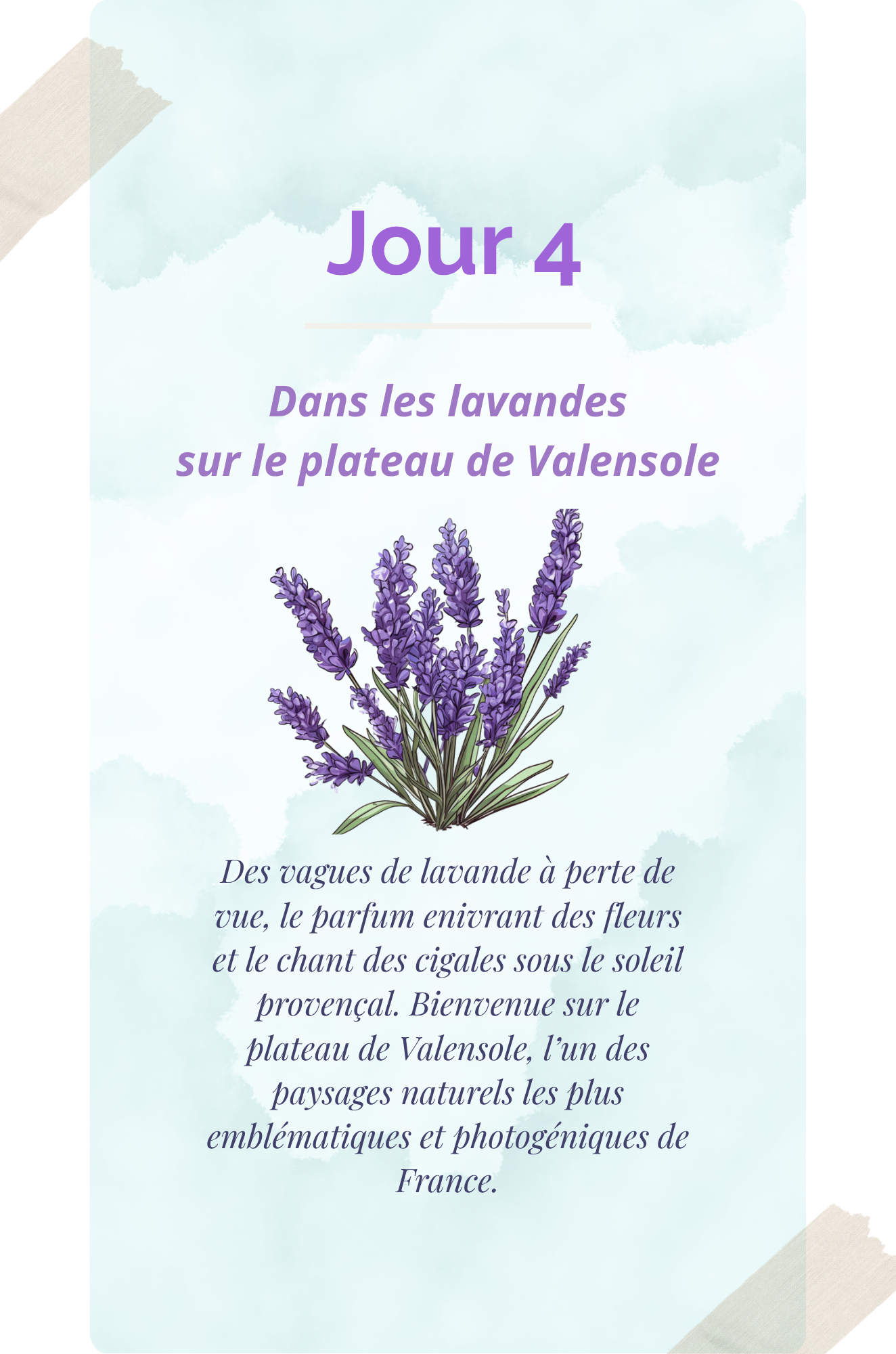 Envie de Verdon & Lavandes – Image 3